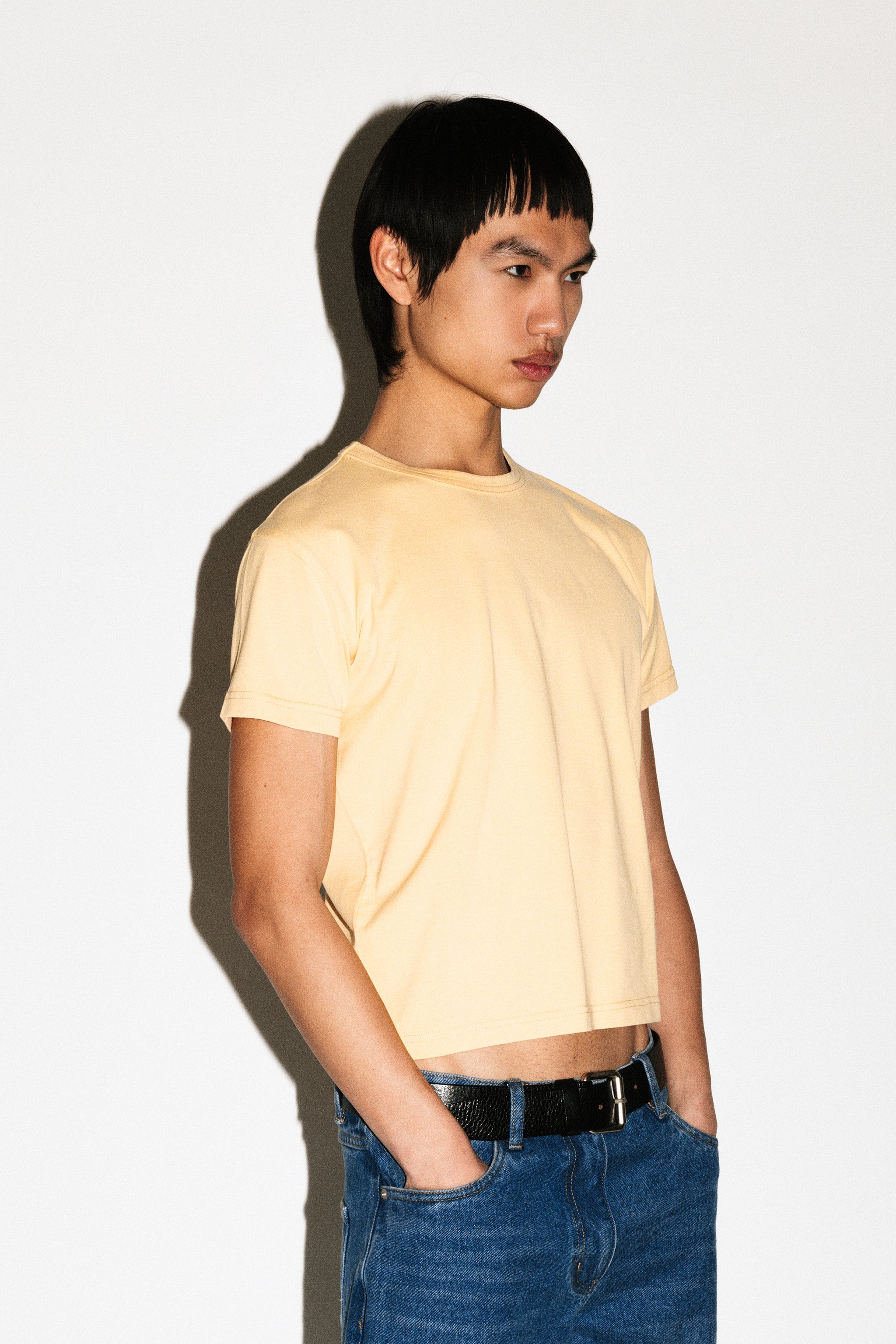 Sunfaded Yellow
