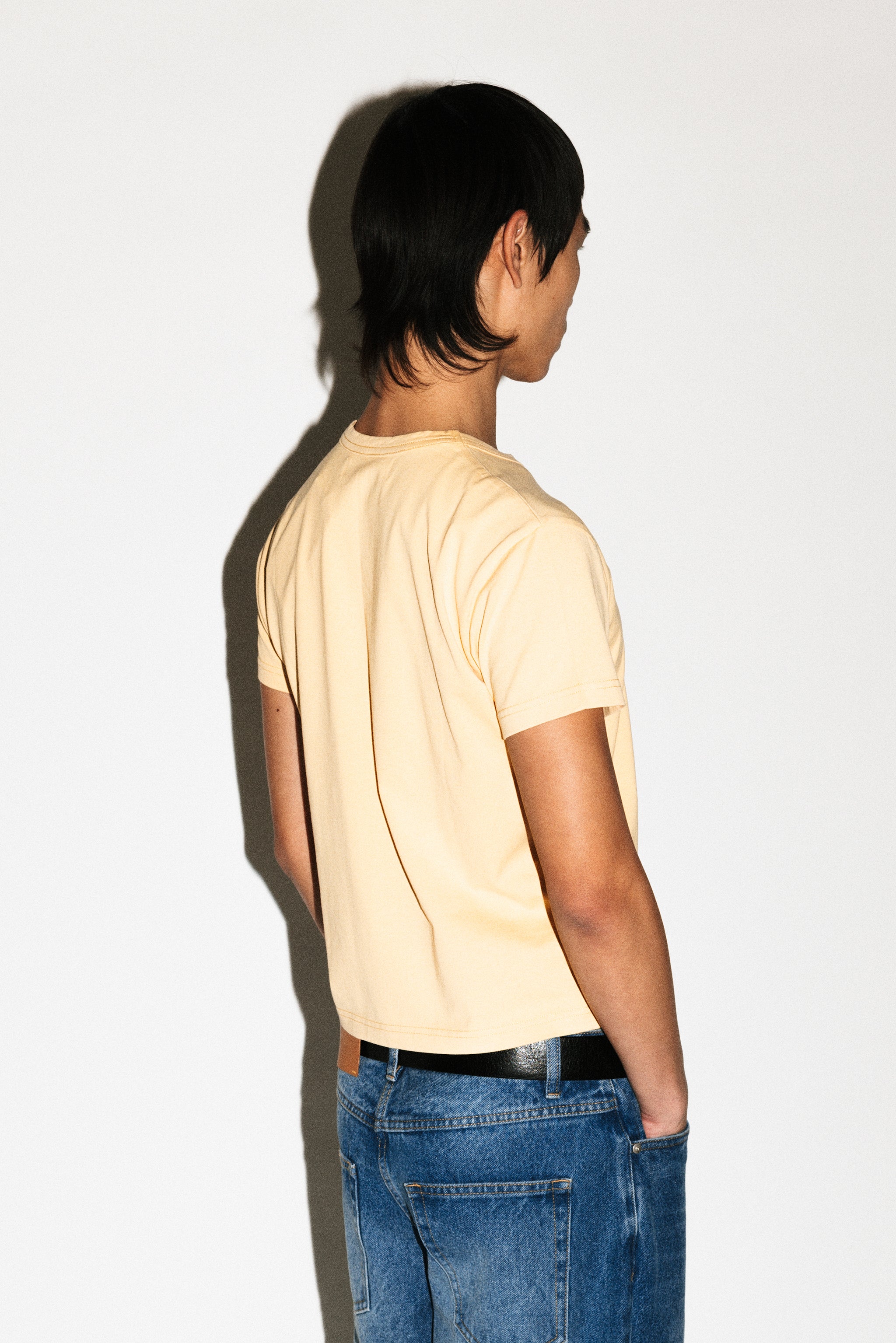 Sunfaded Yellow