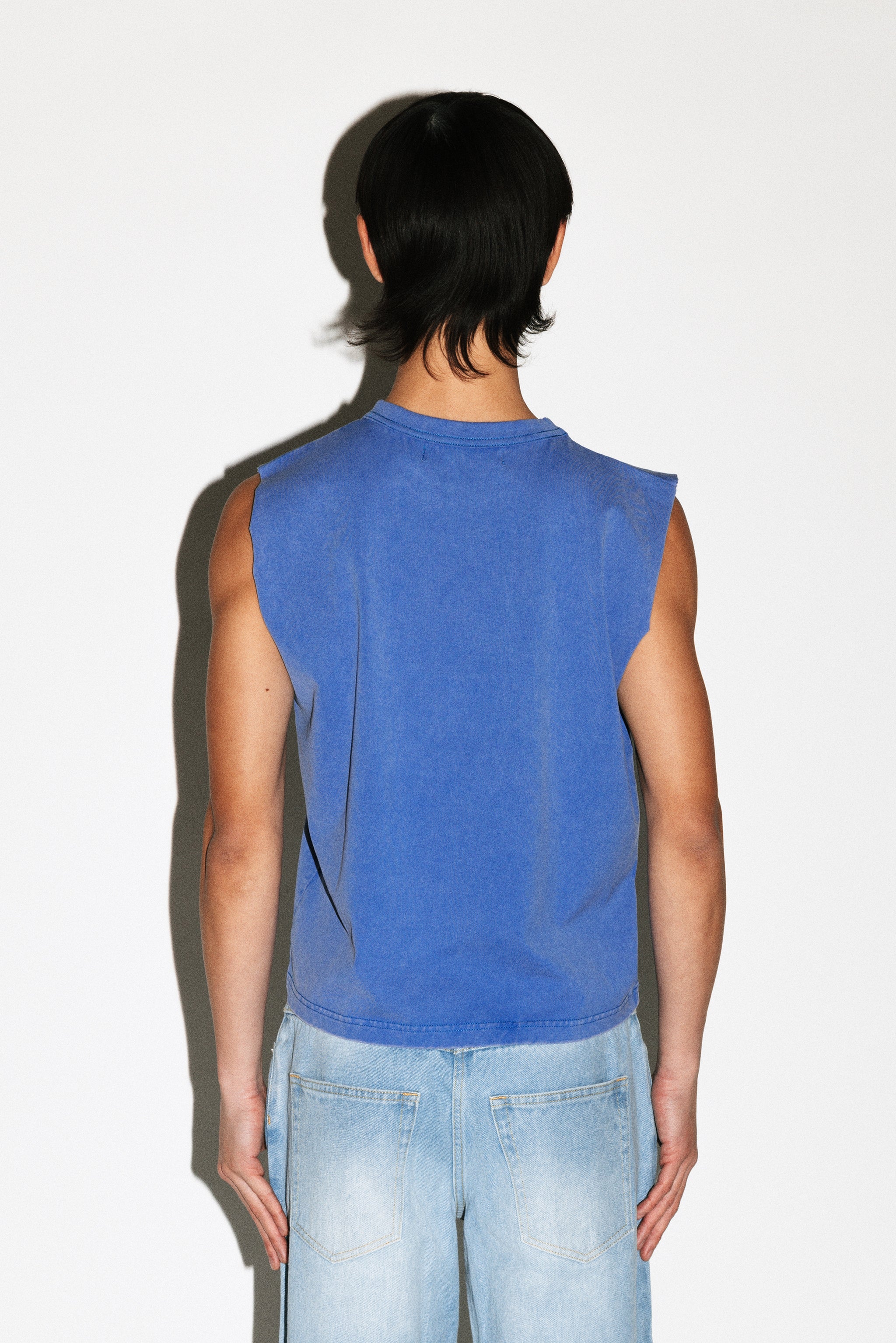 Sunfaded Indigo