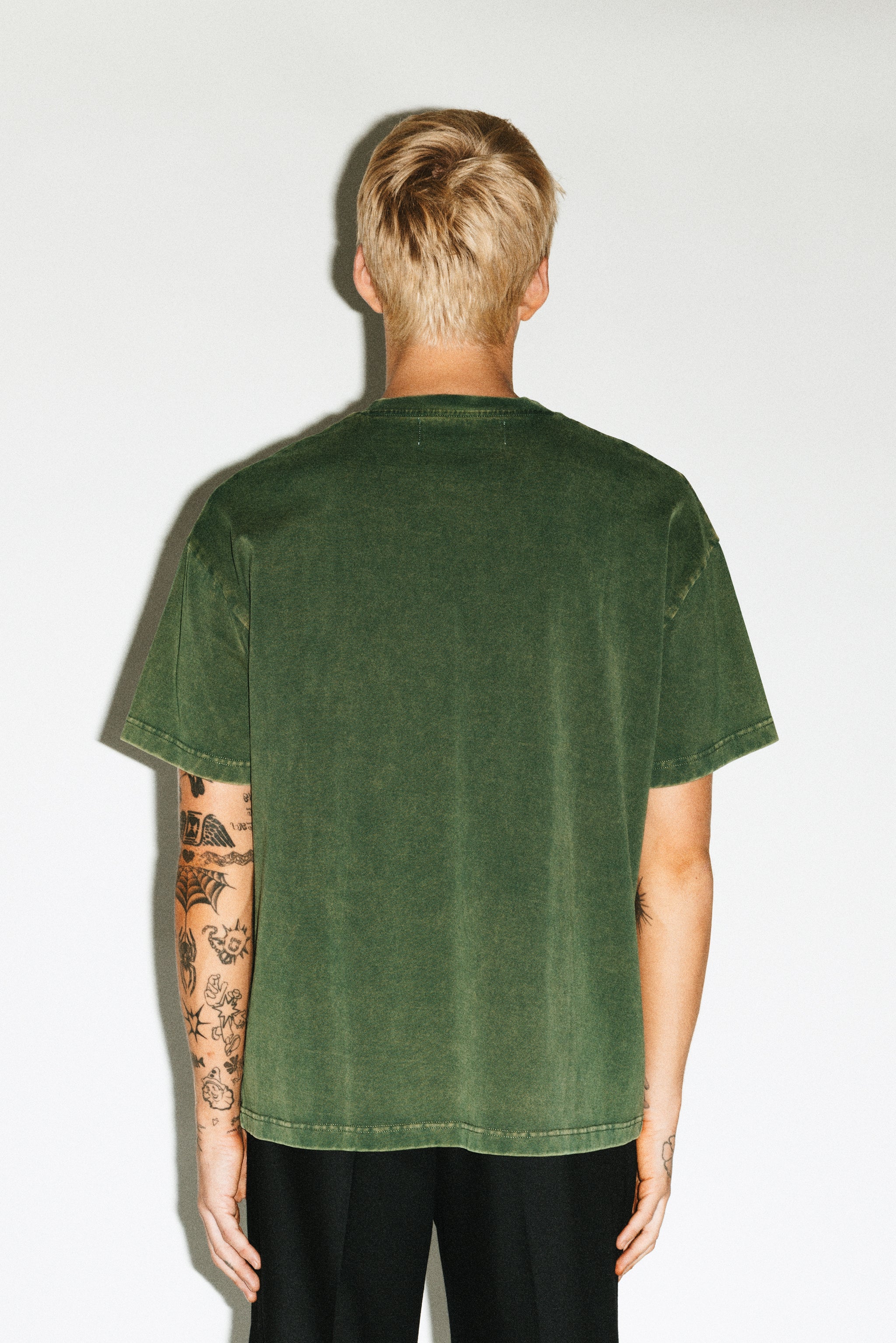 Sunfaded Moss